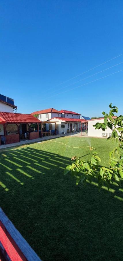 Ferienwohnung Pagini Din Vama Vama Veche Exterior foto
