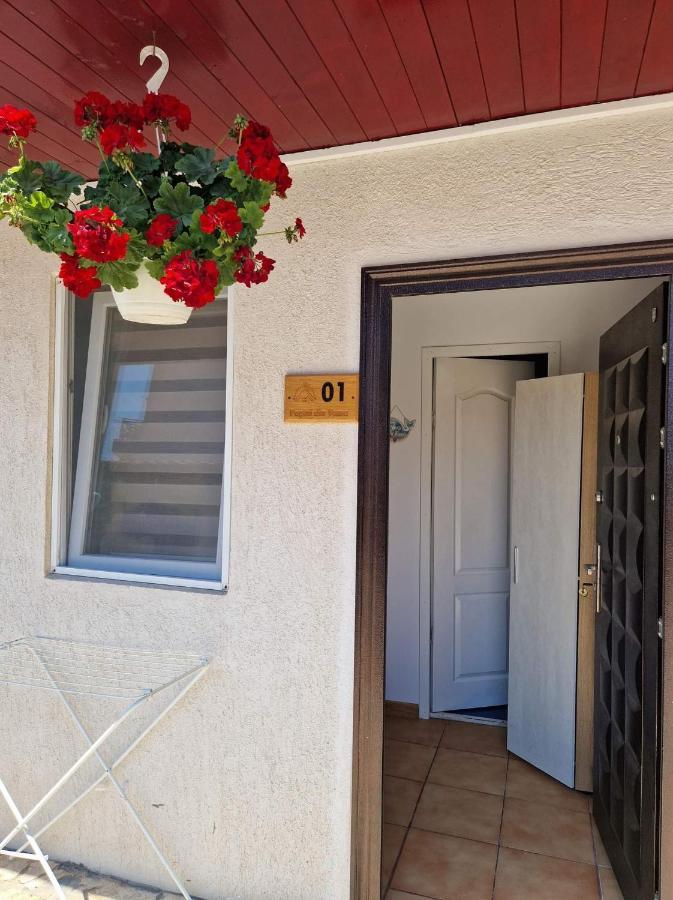 Ferienwohnung Pagini Din Vama Vama Veche Exterior foto