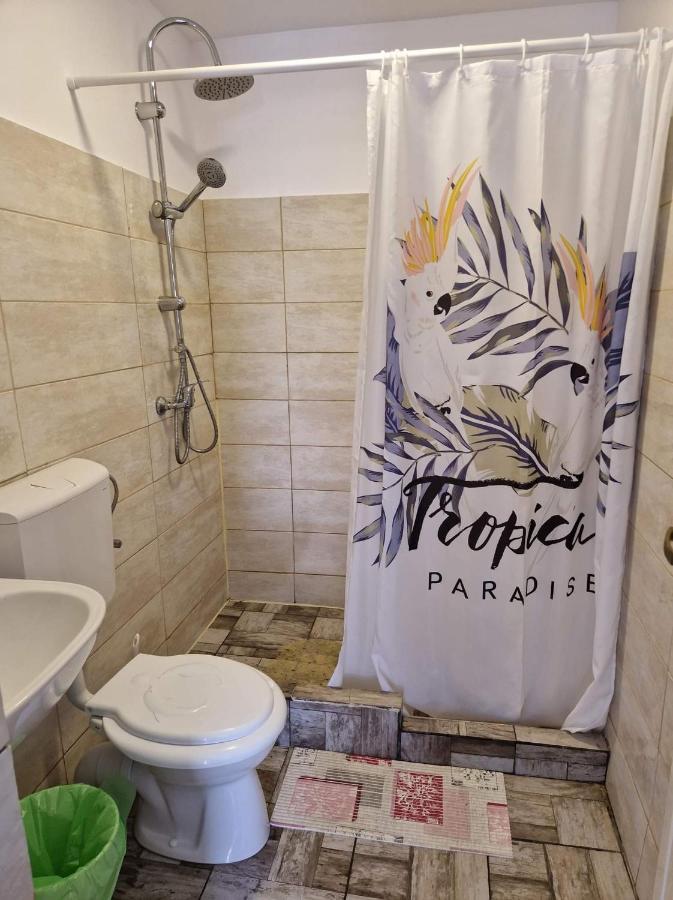 Ferienwohnung Pagini Din Vama Vama Veche Exterior foto