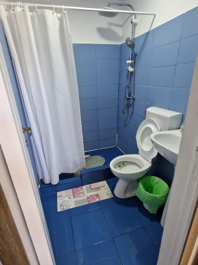 Ferienwohnung Pagini Din Vama Vama Veche Exterior foto